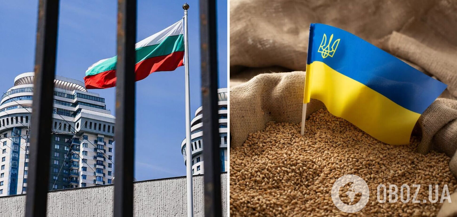 Болгарія заборонила ввезення українського зерна на свою територію