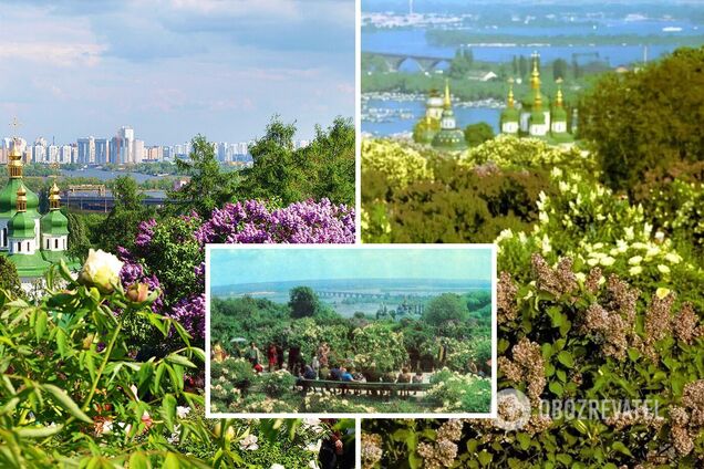 Щороку цвітіння бузків приходять подивитись тисячі киян