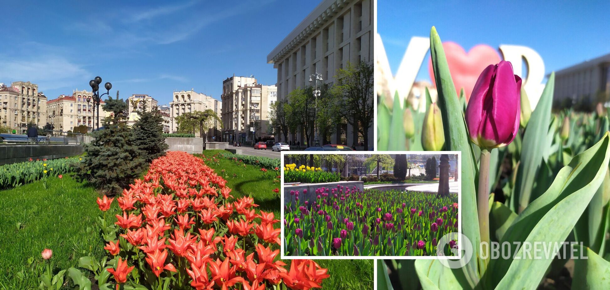 Цветы, в частности, можно увидеть на Майдане Незалежности