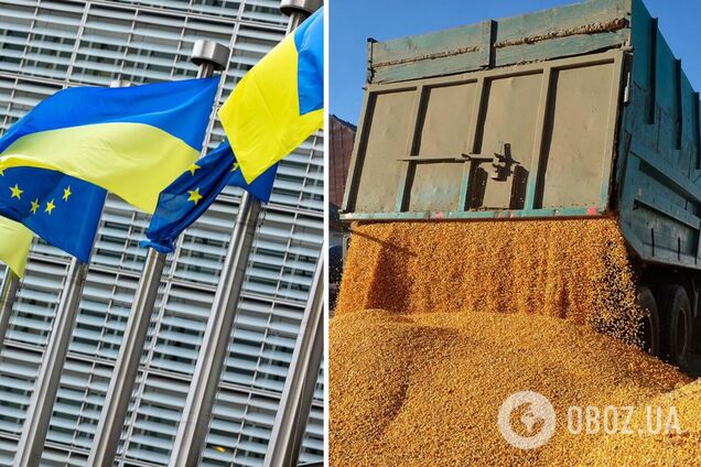 В ЕС готовят централизованный запрет на ввоз зерна из Украины