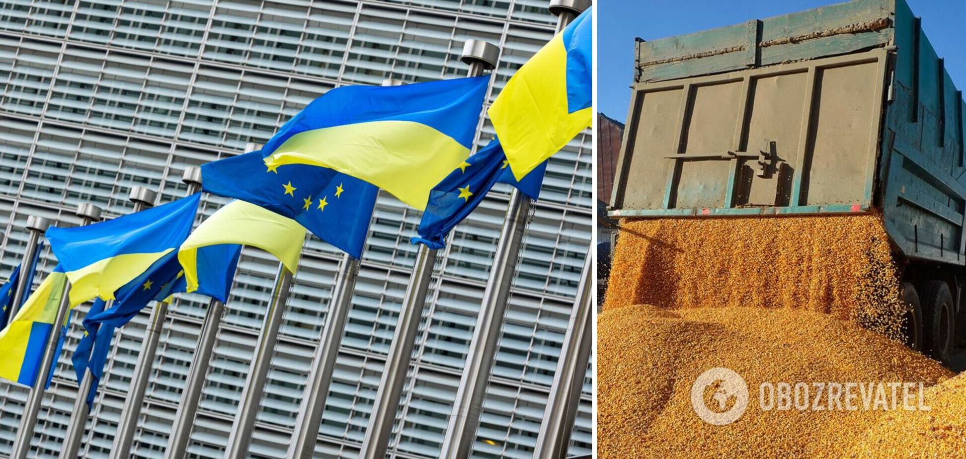 В ЕС готовят централизованный запрет на ввоз зерна из Украины
