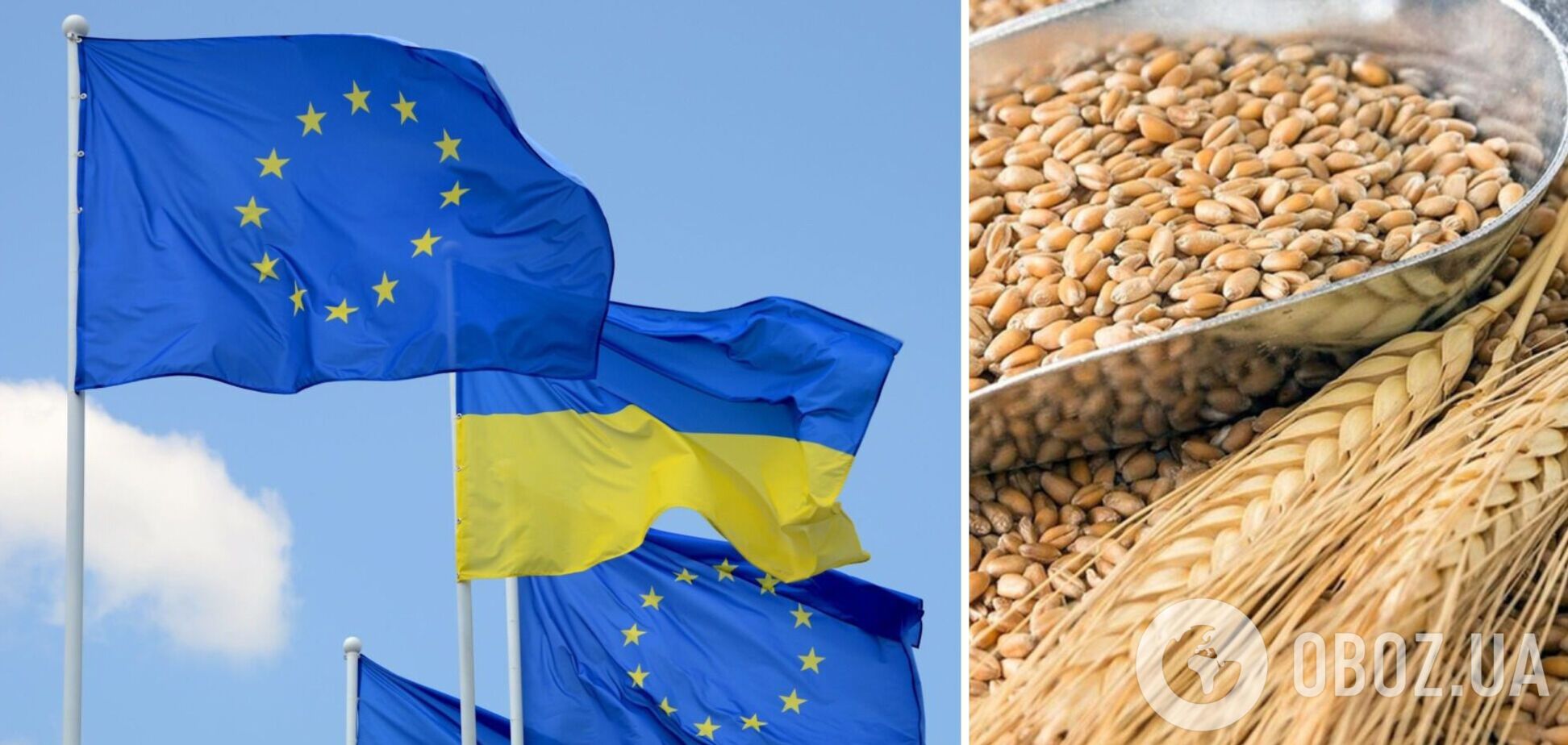 У ЄС стали на захист української агропродукції