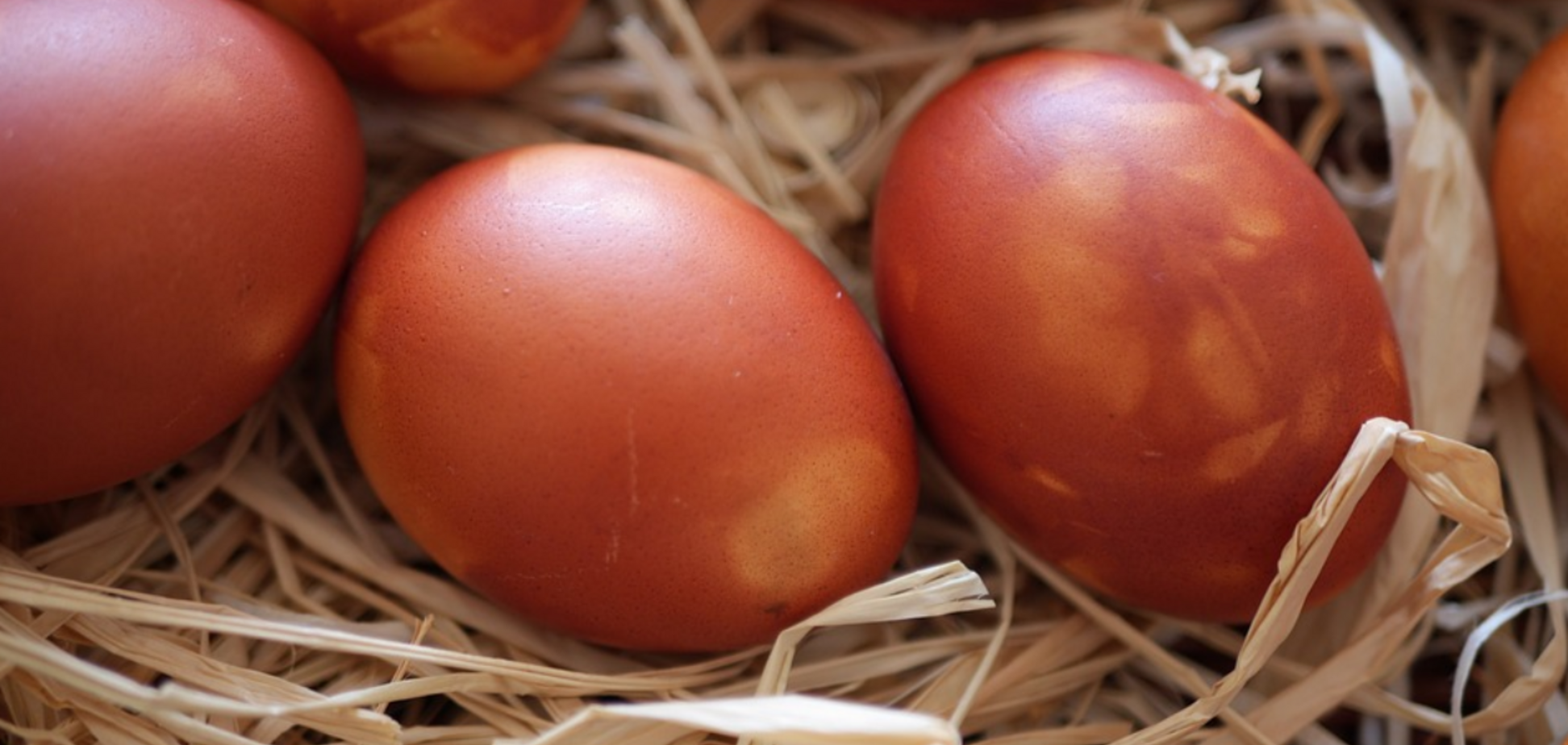 Что приготовить из пасхальных яиц: рецепт вкусной закуски за 5 минут
