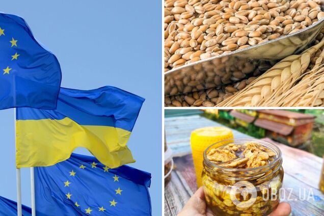 Країни ЄС забороняють ввезення агропродукції з України