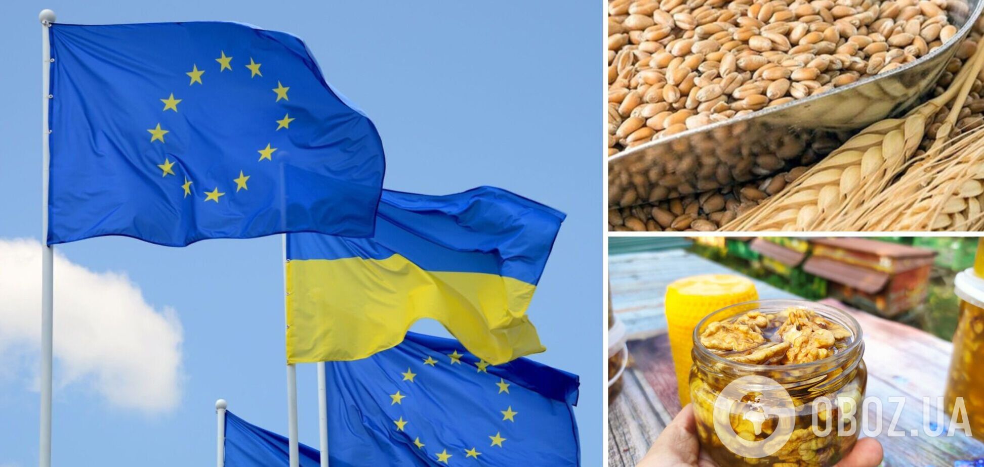 Страны ЕС запрещают ввоз агропродукции из Украины