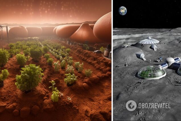 Смогут ли люди выращивать растения на Луне: в NASA уже знают ответ