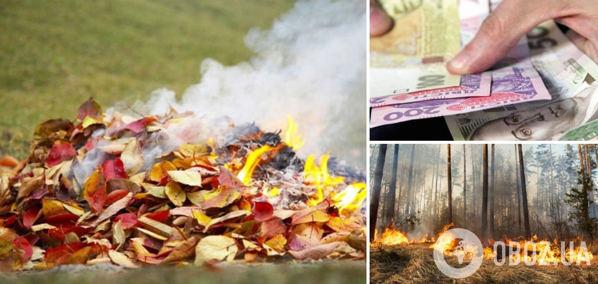 Какие штрафы могут получить украинцы за сжигание листьев