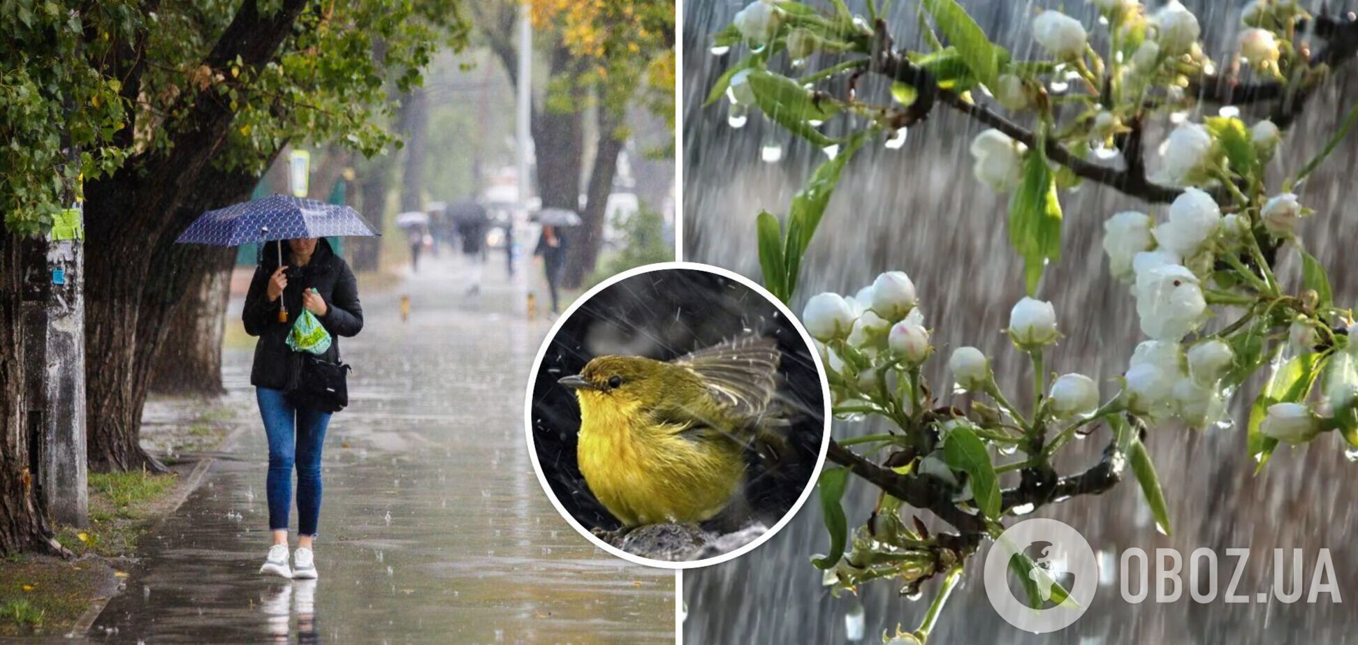 Циклон Udo принесе дощі: синоптикиня назвала дату зміни погоди в Україні, вдарить похолодання