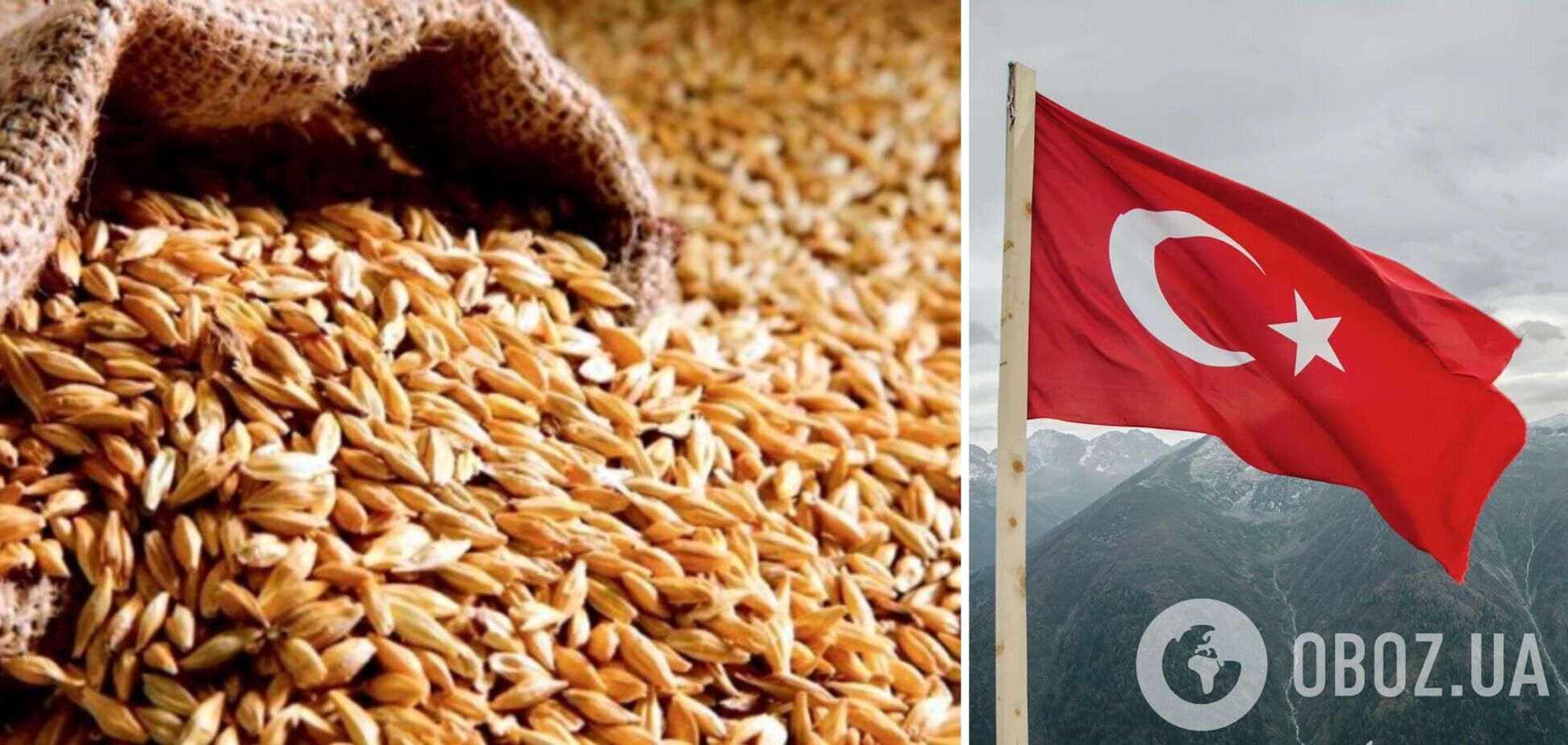 Туреччина є основним імпортером зерна з України