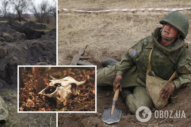 Оккупанты на Запорожье случайно разрыли скотомогильник и подцепили сибирскую язву: пострадало все подразделение