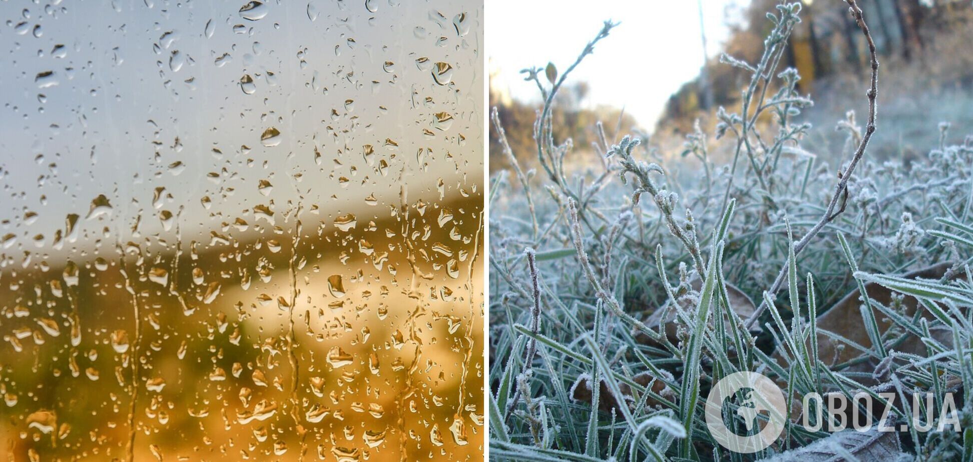 Похолодання і помірні дощі: синоптики дали прогноз погоди в Україні на тиждень