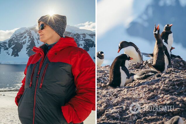 Путешествие на край света: чем интересна Антарктида и возможно ли туда попасть туристу