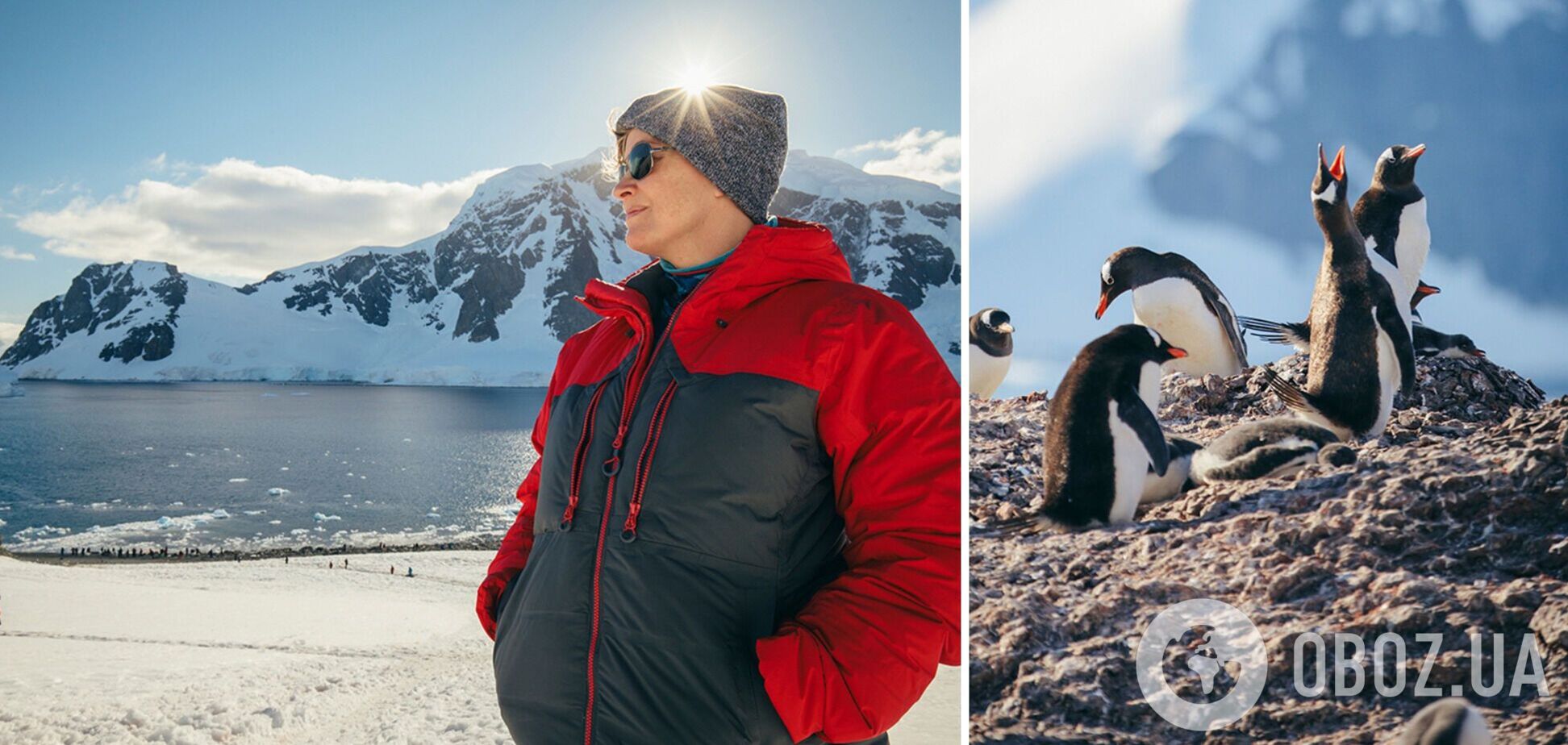 Путешествие на край света: чем интересна Антарктида и возможно ли туда попасть туристу