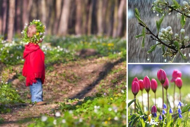 Дощі не відступлять? Синоптики дали детальний прогноз до кінця квітня в Україні. Карта