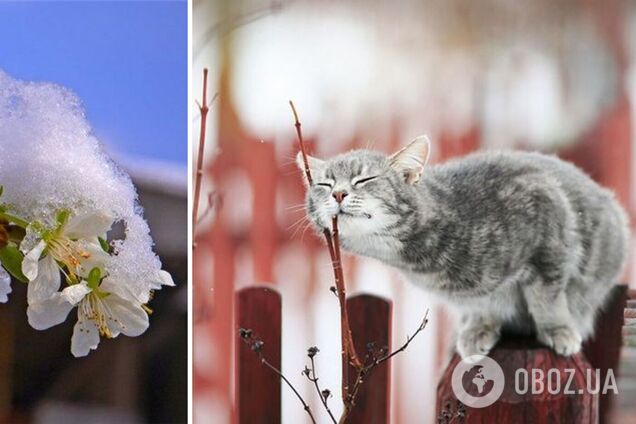 В Україну йдуть заморозки: де буде найхолодніше