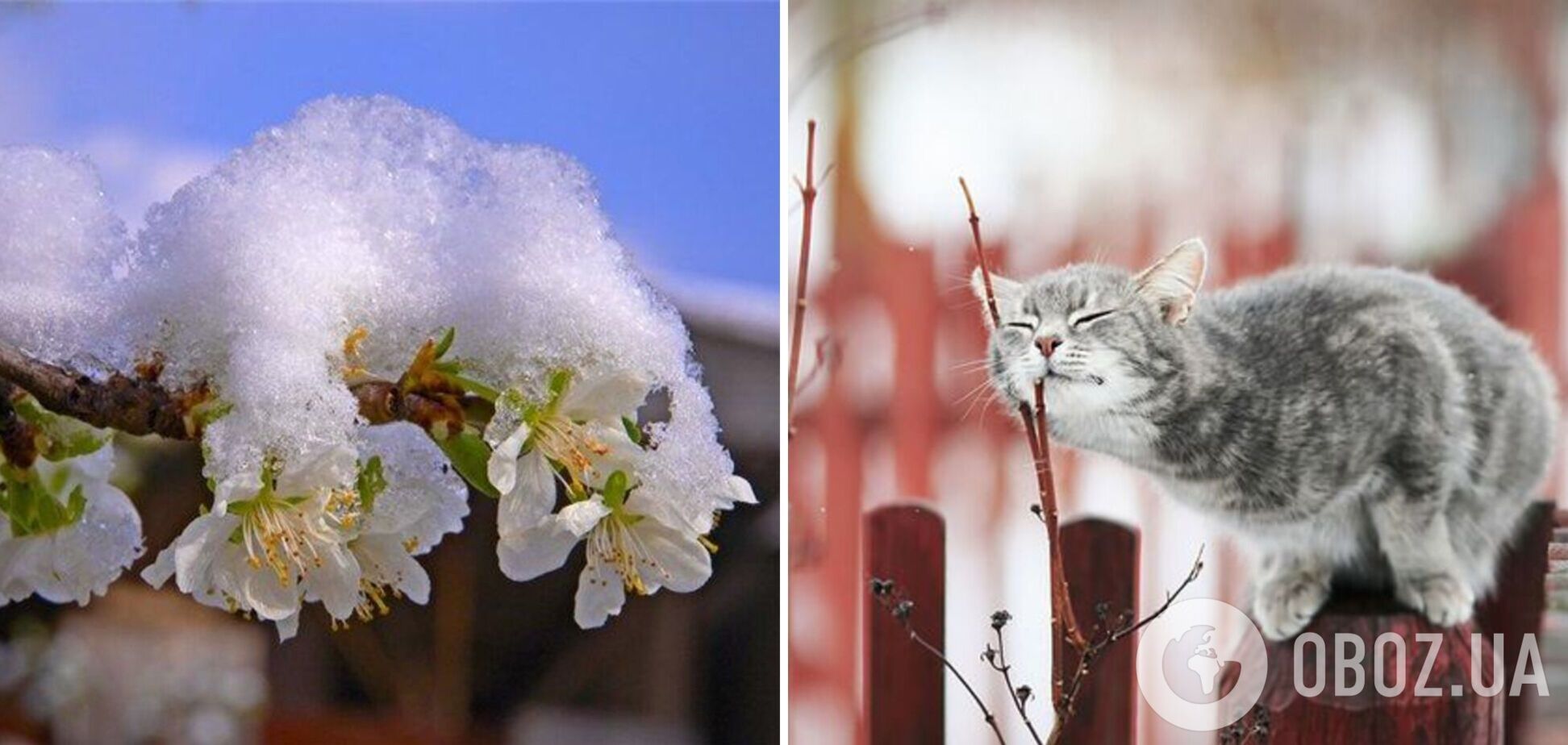 В Україну йдуть заморозки: де буде найхолодніше