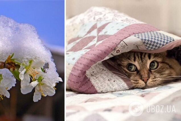 Дощі і заморозки на ґрунті: синоптики дали прогноз погоди на понеділок, 1 травня