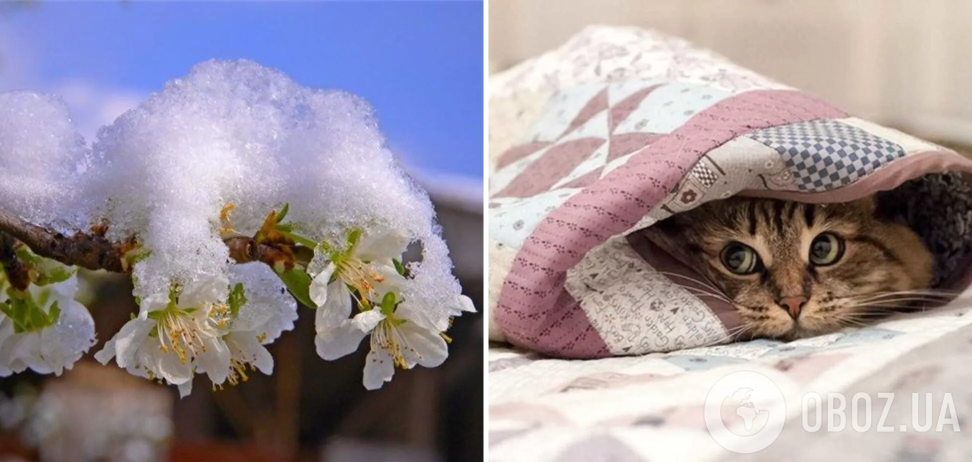 Дощі і заморозки на ґрунті: синоптики дали прогноз погоди на понеділок, 1 травня