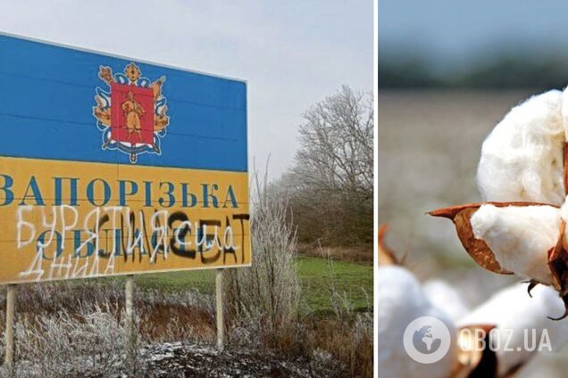 Біля Мелітополя потужна 'бавовна': палкий 'привіт' окупантам передали сили спротиву
