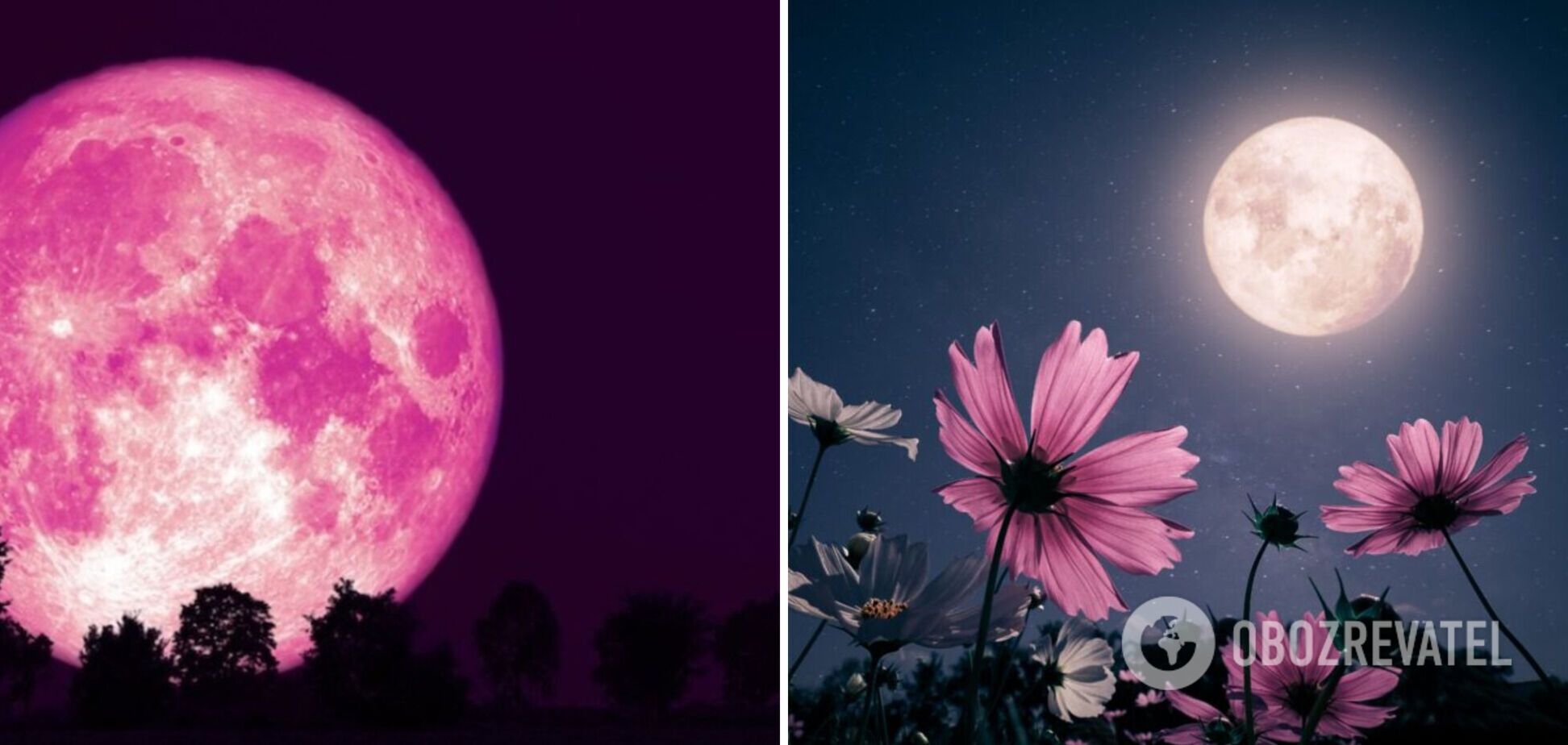 Українці зможуть побачити Рожевий Місяць: у чому суть романтичної назви та що не можна робити