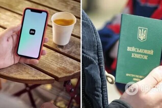 В Минцифры поставили точку относительно возможности отправки повесток через Дію: есть политическая позиция