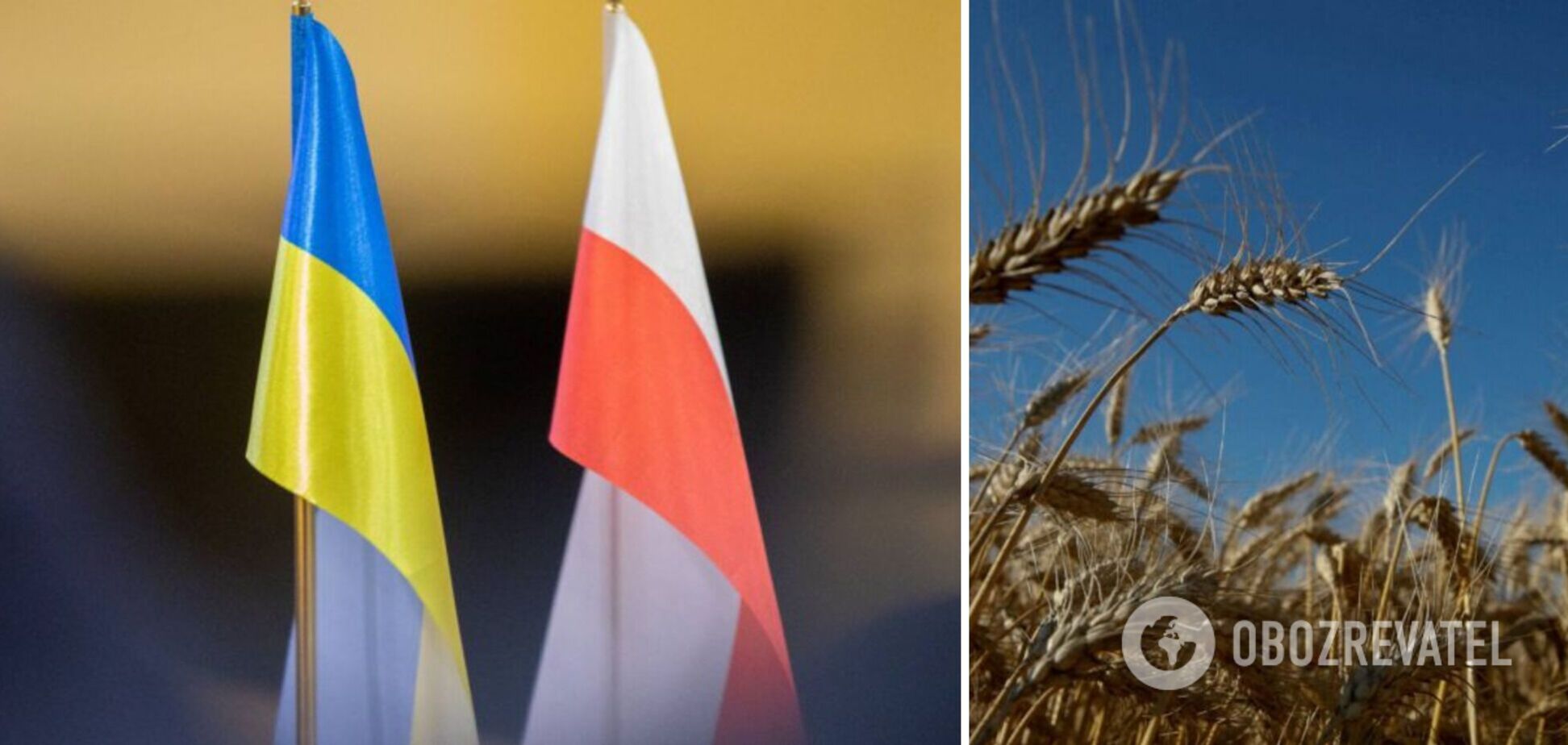 Украина недополучила десятки миллионов долларов из-за запрета Польши на импорт зерна