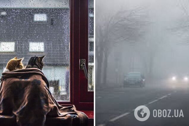 Дожди, снег, туман и гроза: суббота приготовила калейдоскоп погодных явлений. Карта