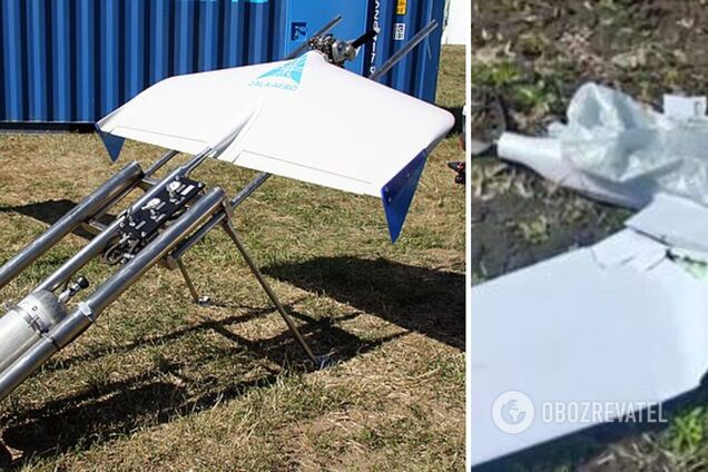 Над Сумщиной уничтожен вражеский беспилотник. Первое фото