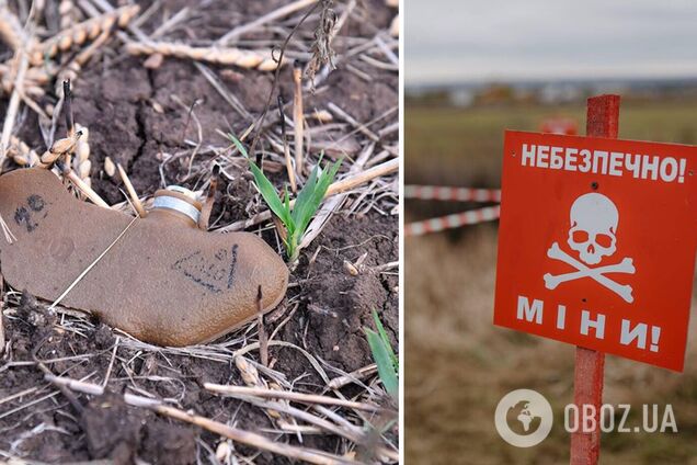 Разбрасывают мины-лепестки: оккупанты дистанционно минируют дороги в Берислав и прибрежные зоны Херсона и Станислава