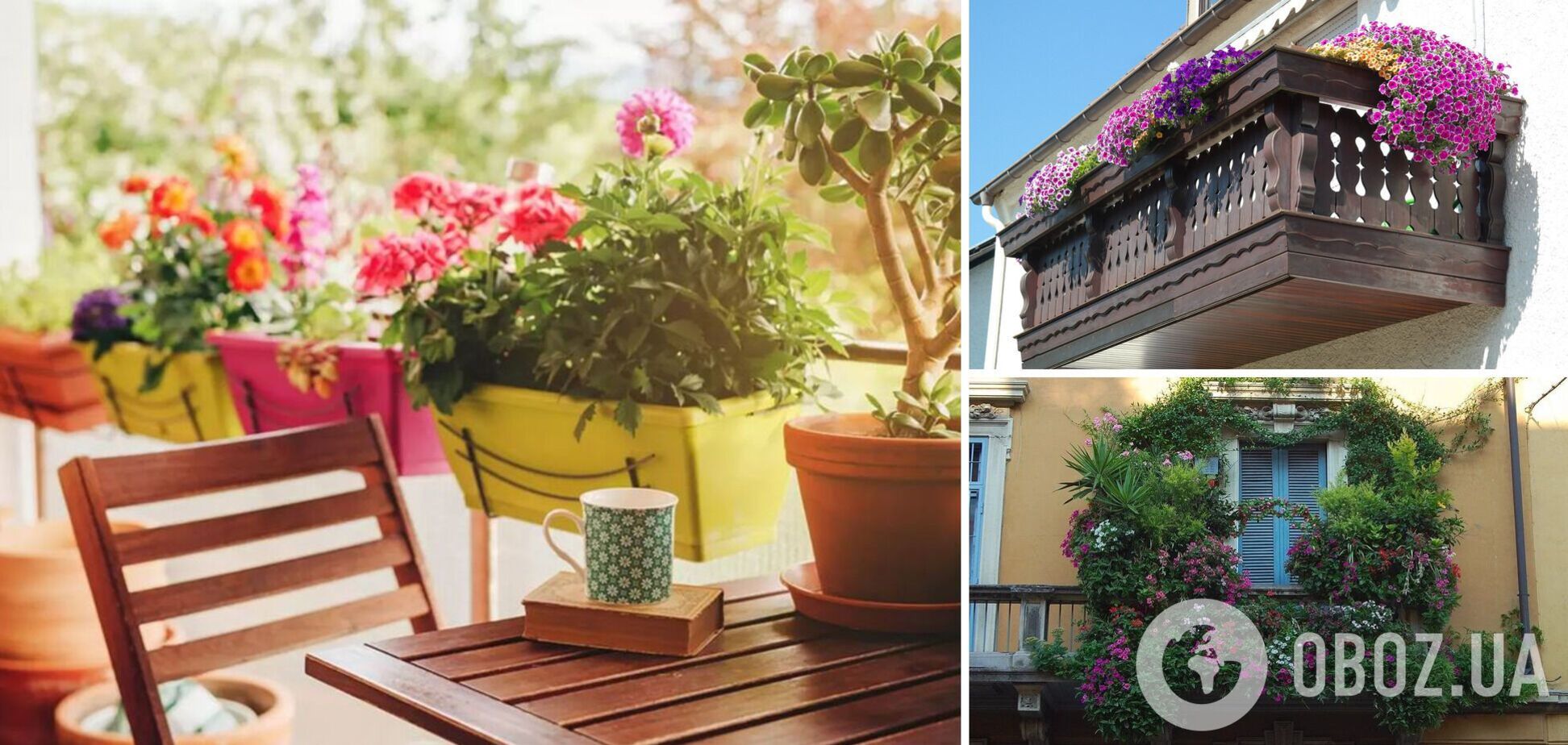 Какие цветы выбрать для балкона: будуть завидовать все соседи