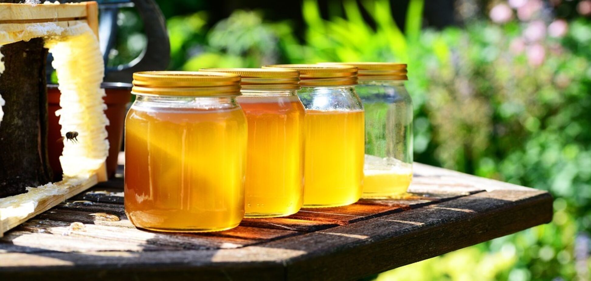 Як перевірити мед на натуральність: три найпростіших способи