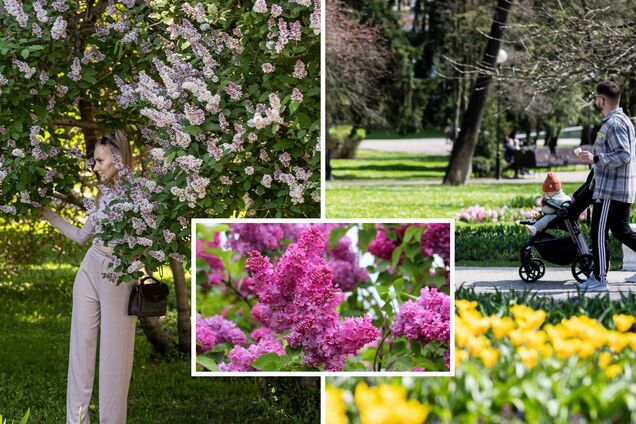 В Украину после заморозков придет потепление: синоптик назвала даты