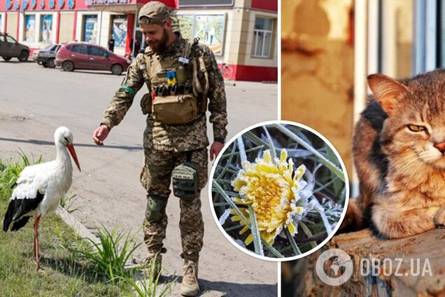 Буде тепло, але з нічними заморозками: синоптики дали прогноз погоди на четвер, 11 травня