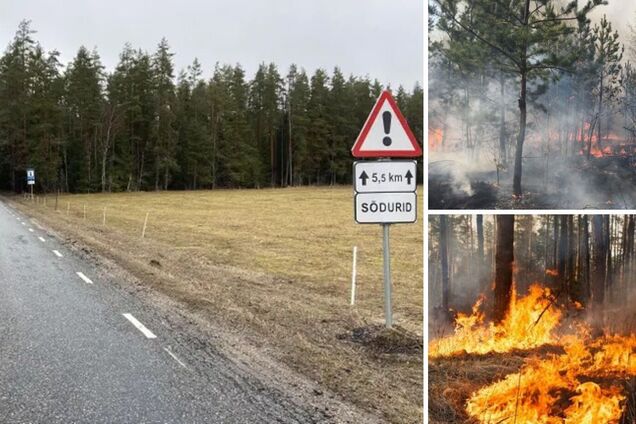 Есть угроза детонации снарядов: в Эстонии на военном полигоне вспыхнул масштабный пожар