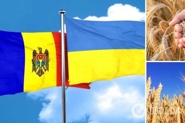 ’Это решение дало бы нулевые результаты’: Молдова передумала вводить ограничения на импорт зерна из Украины