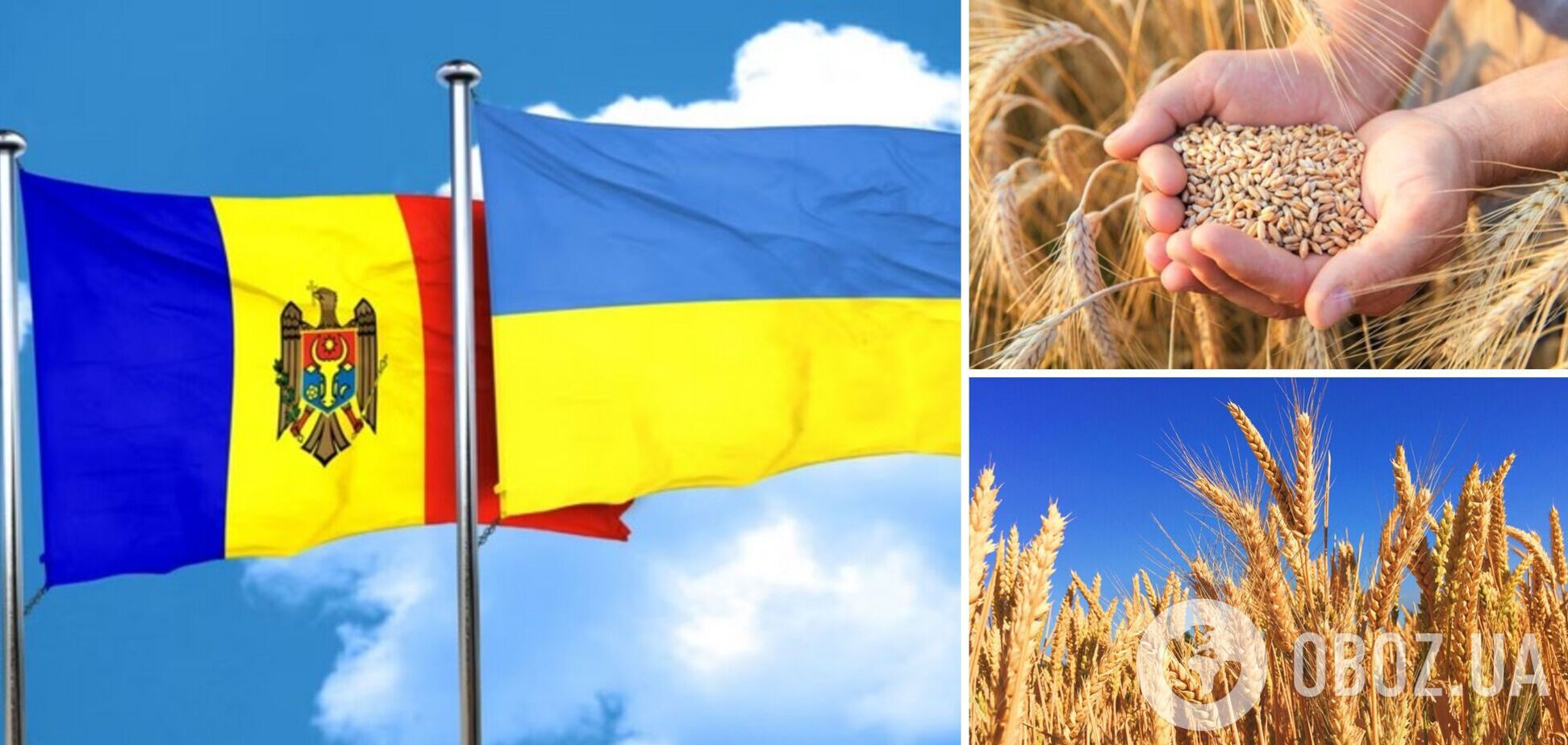 'Это решение дало бы нулевые результаты': Молдова передумала вводить ограничения на импорт зерна из Украины