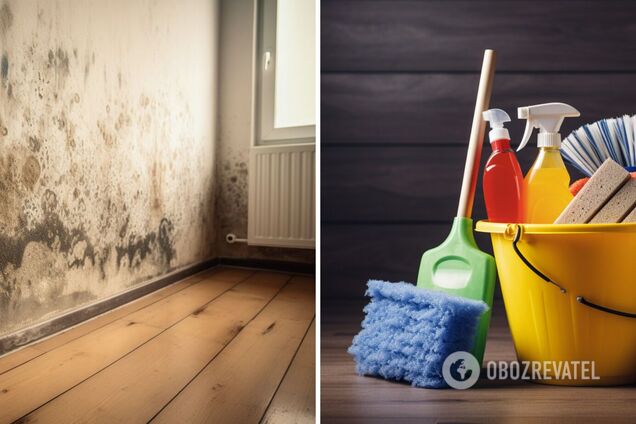 Как избавиться от плесени на стенах: народные методы