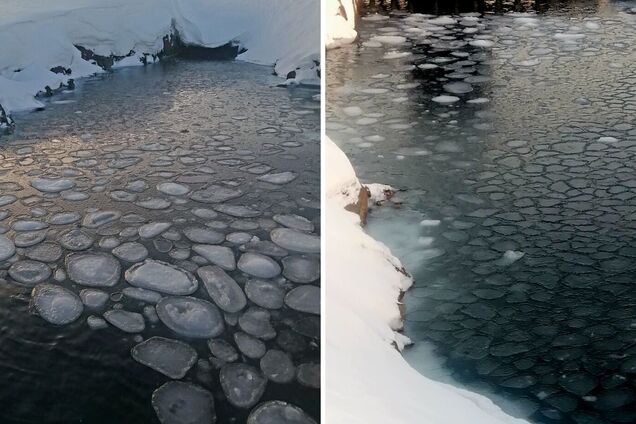 'Млинцевий лід': українські полярники в Антарктиці показали вражаюче явище. Фото 