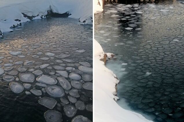 'Млинцевий лід': українські полярники в Антарктиці показали вражаюче явище. Фото