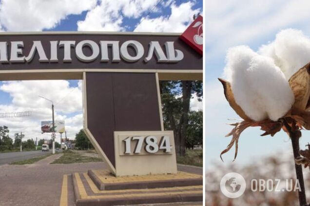 У Мелітополі нова 'бавовна': підірвали окупаційного 'заступника міністра'