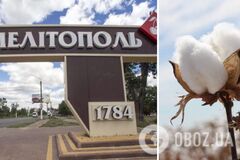 У Мелітополі нова 'бавовна': підірвали окупаційного 'заступника міністра'