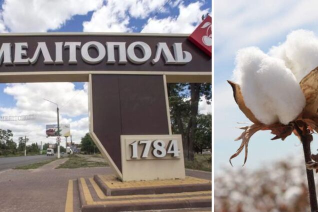 В оккупированном Мелитополе новая 'бавовна': подорвали оккупационного 'заместителя министра'