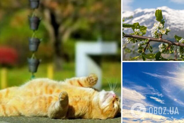 Украина ждет потепления: Диденко назвала области, которые станут исключением