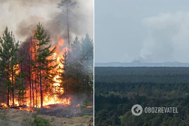 На місці пожежі рятувальники проводять розвідку