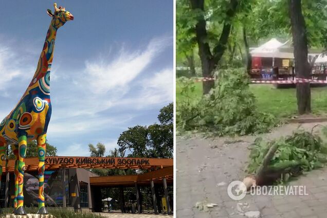 Кличко показал последствия падения обломков ракеты в КиевЗоо