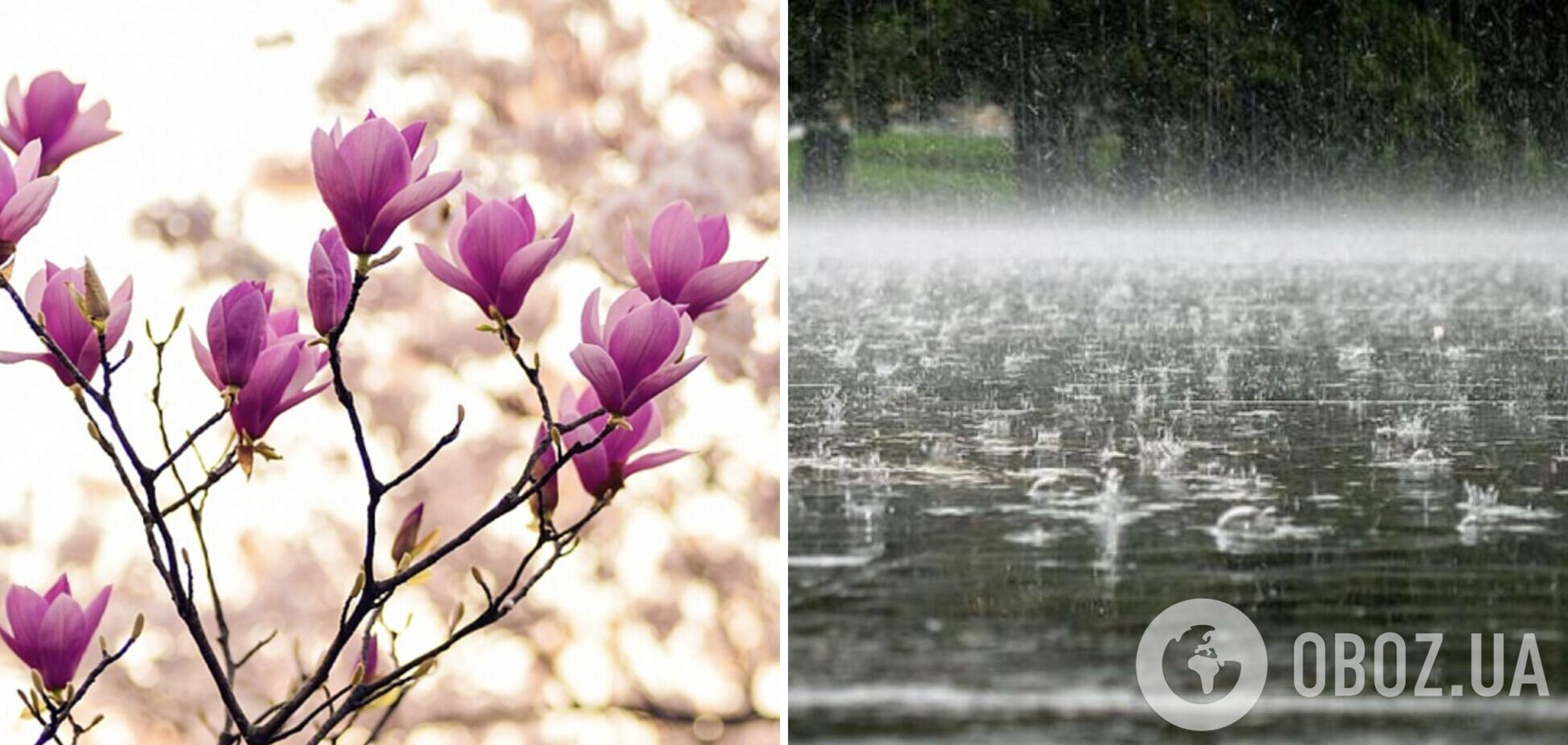 Потеплеет до +26, местами кратковременные дожди: синоптики рассказали, какая будет погода в среду