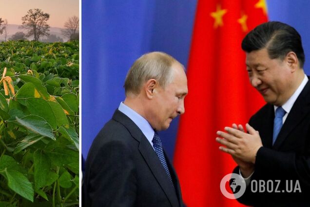 Путин нацелился кормить Китае соей