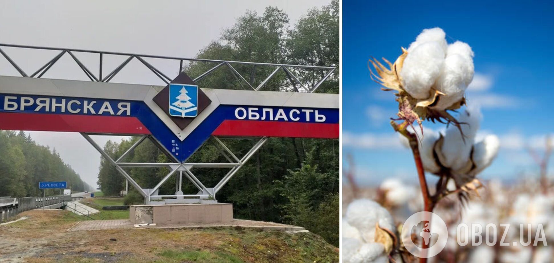 В Брянской области пожаловались на 'бавовну': в результате атаки дронов есть раненые среди военных РФ