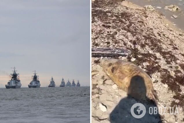 Біля окупованого Криму зафіксовано масову загибель дельфінів через дії російських загарбників. Фото і відео