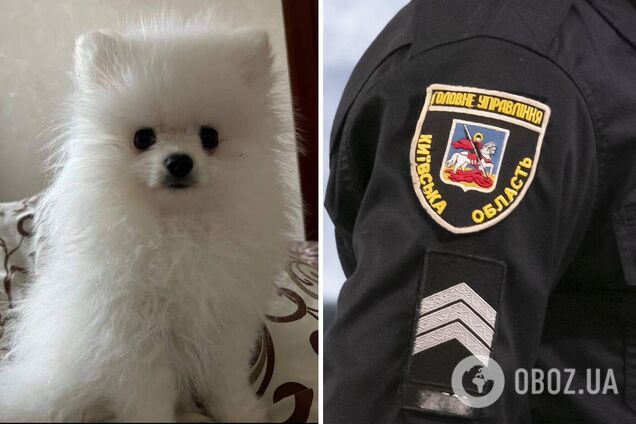 Правоохоронці отримали висновки фахівців щодо смерті цуценяти